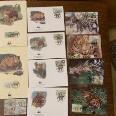 belize - feline - serie 4 timbre MNH, 4 FDC, 4 maxime, fauna wwf