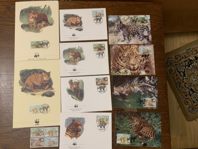 belize - feline - serie 4 timbre MNH, 4 FDC, 4 maxime, fauna wwf foto