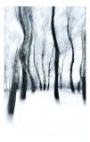 Tablou Canvas Abstract, Pădurea &Icirc;nghețată &icirc;n Dansul V&acirc;ntului, , Alb și Negru, 26 x 39 cm, CMCLASS