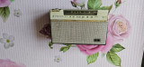 RADIO ELECTRONICA S631T , NU FUNCTIONEAZA ., Analog