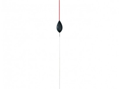 PLUTA COLMIC EDY GR 6.0 foto