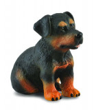 Catelus Rottweiler - Animal figurina, Collecta