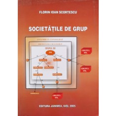 Societatile De Grup - Florin Ioan Scortescu , D439