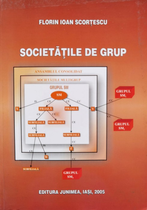 Societatile De Grup - Florin Ioan Scortescu , D439