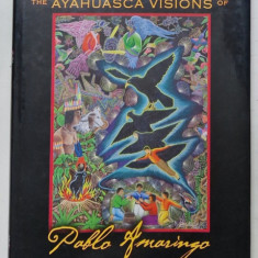THE AYAHUASCA VISIONS OF PABLO AMARINGO , by HOWARD G. GARING ...PABLO AMARINGO , ALBUM DE ARTA IN LIMBA ENGLEZA , 2011