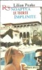 Noaptea Iubirii &Icirc;mplinite - Lilian Peake, Roman Romantic, Editura Alcris, 1994