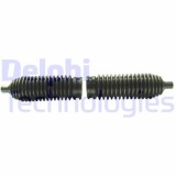 Delphi Ansamblu burduf, directie