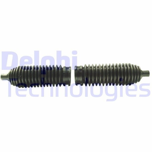 Delphi Ansamblu burduf, directie