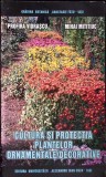 CULTURA SI PROTECTIA PLANTELOR ORNAMENTALE - DECORATIVE-PROFIRA VIDRASCU, MIHAI MITITIUC-359084