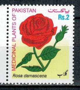 Pakistan 2003 - Plante medicinale, trandafir, neuzat foto