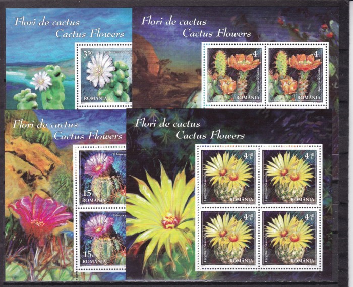 Romania 2017 flori cactusi minicoli MNH