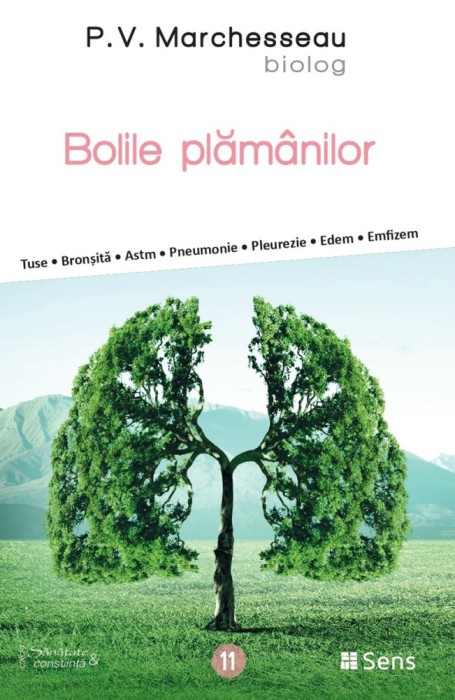 Bolile plamanilor