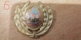 QW14 - Emblema militara / cuc - uscat - comunism - piesa de colectie