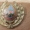 QW14 - Emblema militara / cuc - uscat - comunism - piesa de colectie