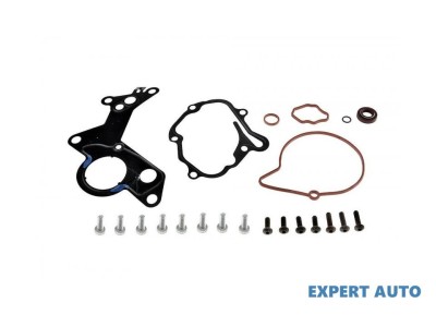 Pompa vacuum Volkswagen Golf 6 (2008-2013)[5K1] #1 foto