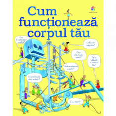 Cum functioneaza corpul tau PlayLearn Toys foto