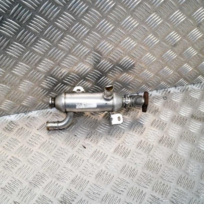 Răcitor EGR CITRO&Euml;N C5 II RC_ 2005 OEM: 0628N3 2722620