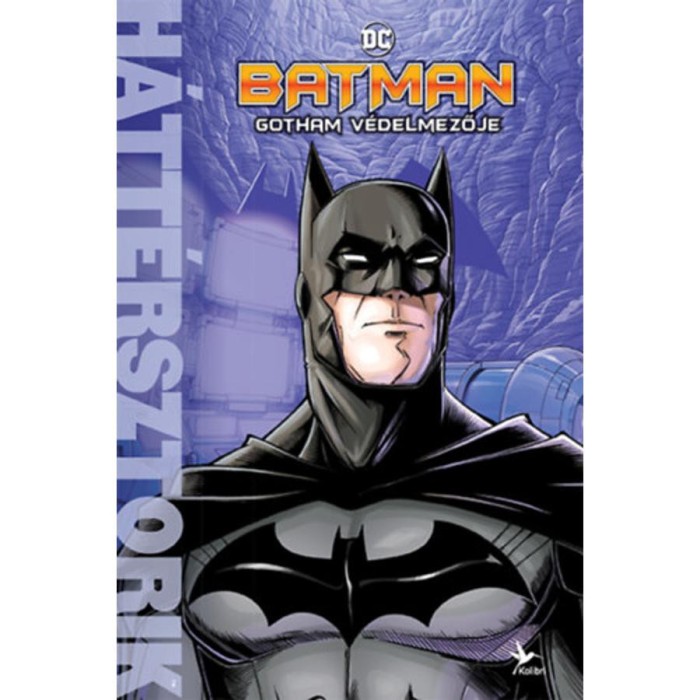 Batman - Gotham v&eacute;delmezője - H&aacute;tt&eacute;rsztorik - Matthew K. Manning