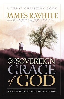 The Sovereign Grace of God: A Biblical Study of the Doctrines of Calvinism foto