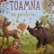Toamna in padure - Katharina Staar