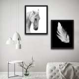 Set 2 tablouri decorative, White Feather Horse Set, PAL, Hartie, Multicolor, Bystag