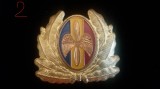 QW14 - Emblema militara / cuc - aviatie - anii 1990 - piesa de colectie