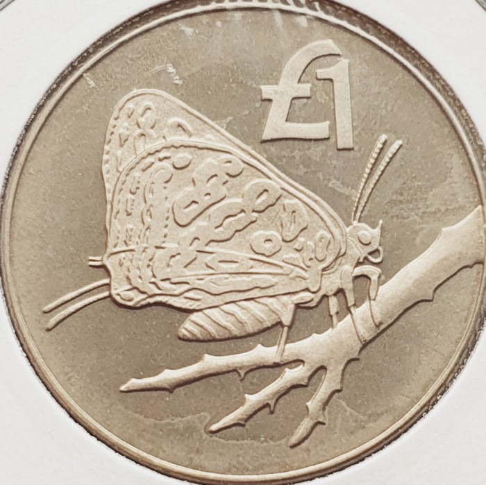 2793 Cipru 1 pound 2002 Cyprus Butterfly km 96 UNC