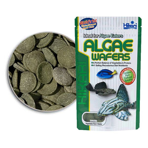 Hikari Algae Wafers 82 g