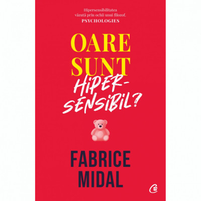 Oare sunt hipersensibil? Despre o putere subestimata, Fabrice Midal foto