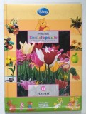 PRIMA MEA ENCICLOPEDIE CU WINNIE URSULETUL SI PRIETENII SAI , NR. 14 , PLANTELE , 2009 *PREZINTA HALOURI DE APA SI DEFECT PAGINA DE TITLU