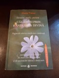 Călători prin R&acirc;nduiala Divină - Maria Timuc