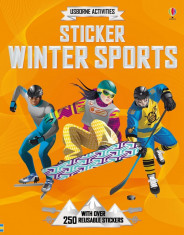 Sticker Winter Sports - Carte Usborne (5+) foto