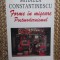 Mihaela Constantinescu &ndash; Forme in miscare Postmodernismul