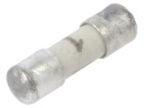 Siguranţă ceramică cilindrică 1A 125VAC, 125VDC - SCHURTER