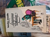 Doamna Voiltare vintage