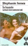 In bratele unui necunoscut - Stephanie James
