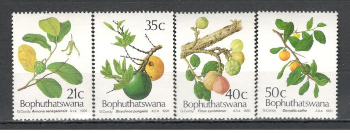 Bophutatswana.1991 Nasterea Domnului-Fructe DF.27