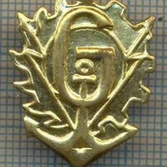 Y 1755 INSIGNA - MILITARA -SEMN DE ARMA - GENIU -PENTRU COLECTIONARI