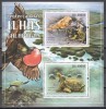Sao Tome si Principe 2011 - Protecția faunei din Insulele Galapagos, Colita, Cota 10 EURO, RARA, MNH (Mică pată pe verso - vezi poze !), Nestampilat