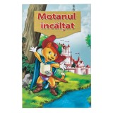 Carte de povesti A5, Motanul Incaltat, Ilustrata, Carton, Multicolor, CMCLASS