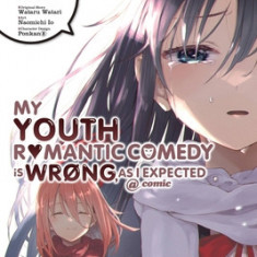 My Youth Romantic Comedy Is Wrong, as I Expected @ Comic, Vol. 19 (Manga)