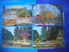 HOPCT LOT 2361 BUZIAS -JUD TIMIS -4 CARTI POSTALE-CIRCULATE, Circulata, Printata