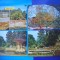 HOPCT LOT 2361 BUZIAS -JUD TIMIS -4 CARTI POSTALE-CIRCULATE