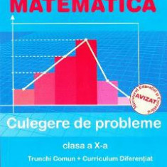 Matematica clasa 10 culegere de probleme trunchi comun + curriculum diferentiat - Marius Burtea, Georgeta Burtea, Claudia Burtea