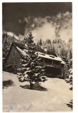 CPIB 18058 CARTE POSTALA - MUNTII BUCEGI. CABANA PADINA, Circulata, Fotografie