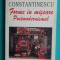 Mihaela Constantinescu &ndash; Forme in miscare Postmodernismul