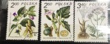 Timbre - Polonia Polska - >50 - Tematica Flori plante