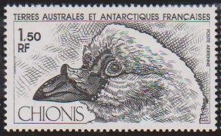 Teritoriul Antarctic Francez (PA) - 1981 - Fauna - chionis foto