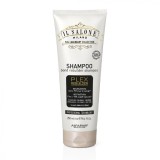 Sampon pentru reconstructie Il Salone Milano Plex Rebuilder, 250ml, Alfaparf