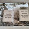 Ion D. Sirbu - Jurnalul unui jurnalist fara jurnal - 2 volume (Editura ICR 2005)